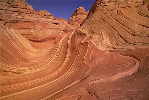 彩色,砂岩,图案,波状,线条,展示,腐蚀,科罗拉多高原,犹他