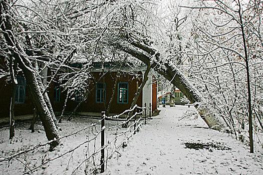 雪后的景色和房屋