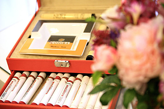 雪茄,烟草,时尚,富豪,套装