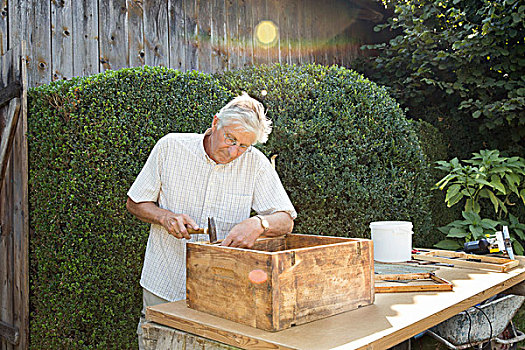 老人,制作,木质,板条箱,花园
