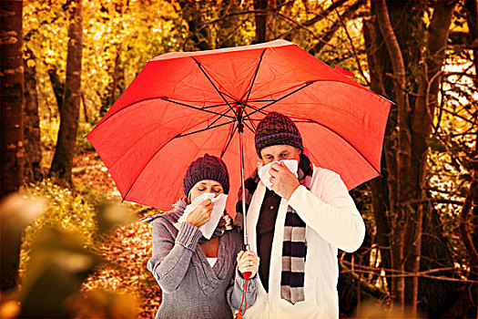 合成效果,图像,夫妻,吹,鼻子,伞,平和,秋天,场景,树林
