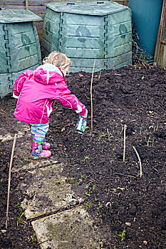 小女孩,浇水,蒜,生长,小块菜地,品种,英国人