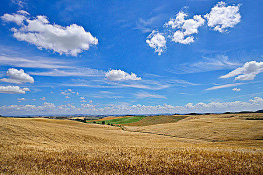丘陵地貌,玉米田,白云,空中,靠近,穆洛,锡耶纳省,托斯卡纳,意大利,欧洲