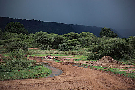 下雨,季节,恩戈罗恩戈罗火山口,塞伦盖蒂国家公园,坦桑尼亚,非洲