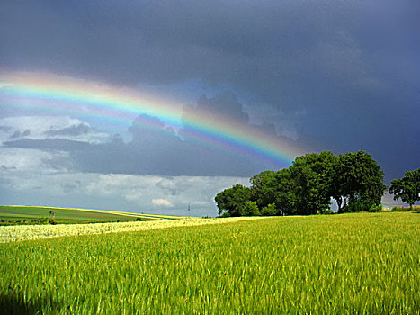 彩虹,小波兰省,靠近