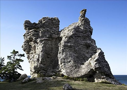 石灰石,形状,哥特兰岛,瑞典