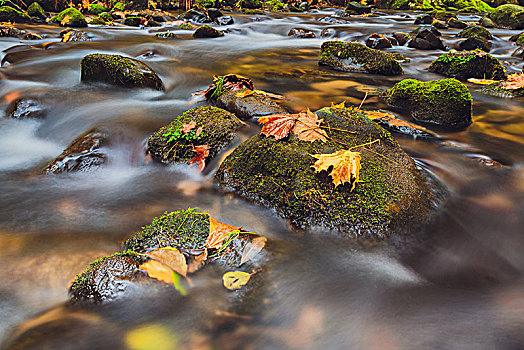 河,秋天,波希米亚风格,瑞士,叶子,石头,长时间曝光,捷克共和国