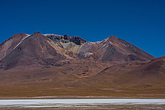 玻利维亚乌尤尼盐湖山区火烈鸟