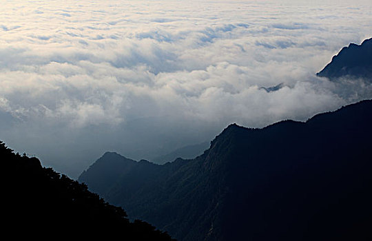 山,云海,雾