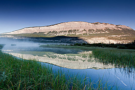 反射,湿地,国家公园,艾伯塔省,加拿大