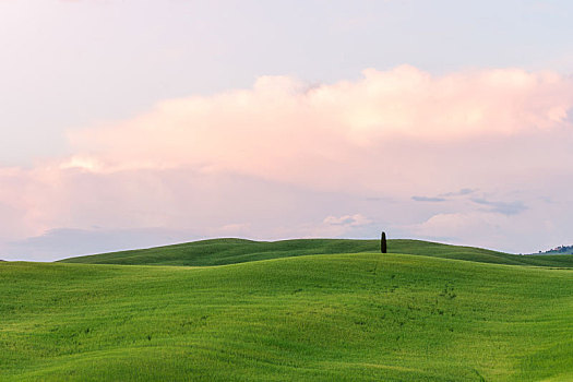意大利托斯卡纳田园,奥尔恰谷著名波浪山丘黄昏景观
