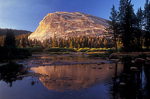 反射,山,水中,优胜美地国家公园,加利福尼亚,美国