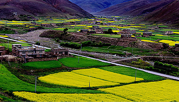 藏村