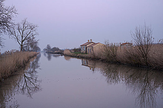 法国,沼泽