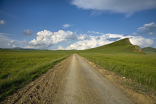 道路,生态,保存,内蒙古,中国