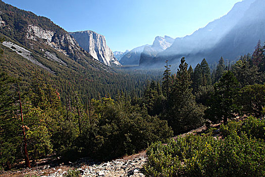 山峰,云雾,树林,森林,黑松树,优山美地国家公园,约塞米蒂国家公园,蓝天,北美洲,美国,加利福尼亚州,内华达山脉,风景,全景,文化,景点,旅游