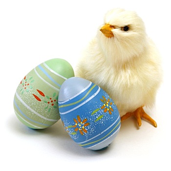 复活节,幼禽,蛋