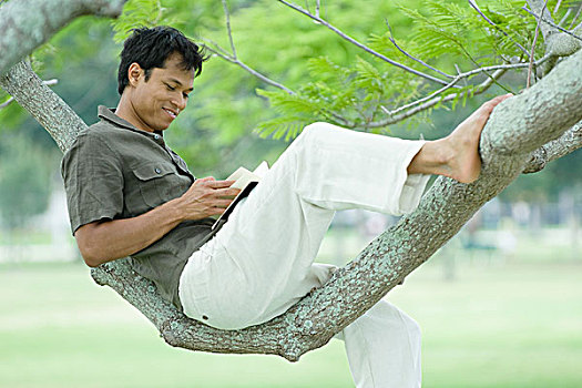 男人,坐,树上,读,书本