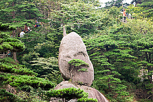 黄山奇石