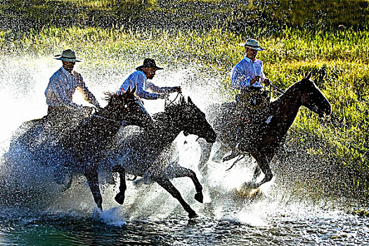 牛仔,骑马,水