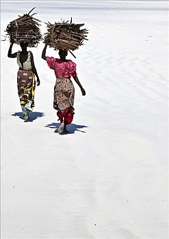 肯尼亚,蒙巴萨,女人,头部,干燥,椰树,叶状体,南海岸