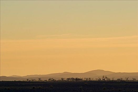 日落,干燥,河,纳米布沙漠,纳米比亚