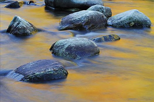 石头,溪流,绿色,山峦,佛蒙特州,美国