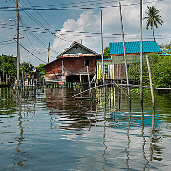 房子,上方,河,曼谷,泰国