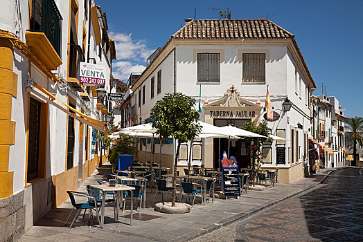 餐馆,历史,地区,科多巴,安达卢西亚,西班牙,欧洲