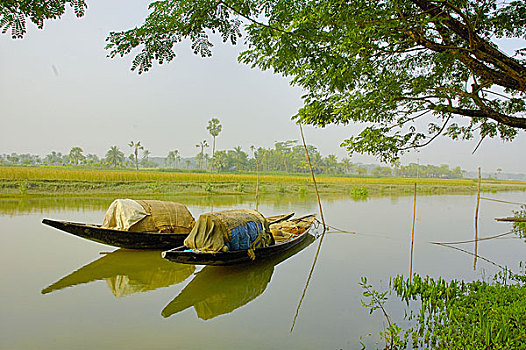 风景,孟加拉,一月,2006年
