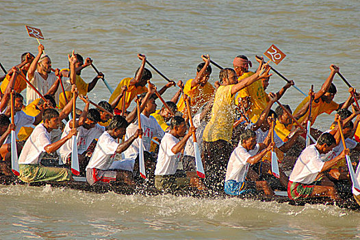 传统,赛船,河,达卡,孟加拉,九月,2006年