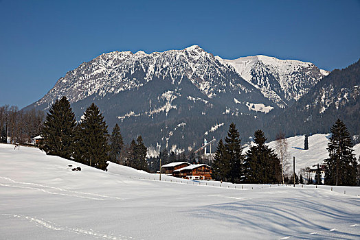 冬天,靠近,奥伯斯多夫,阿尔卑斯山,巴伐利亚,德国,欧洲