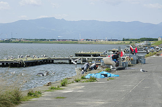 码头,湾流