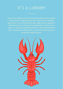 龙虾,海报,红色,小龙虾,矢量,隔绝,蓝色背景,文字,喇蛄,淡水,海鲜