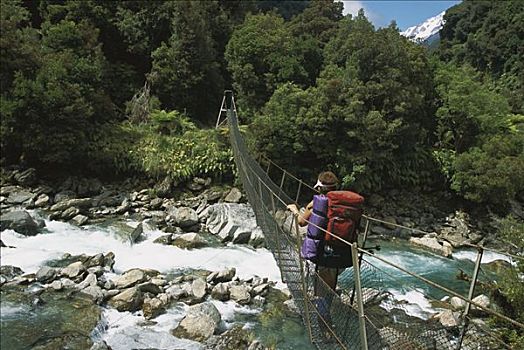远足者,线,桥,上方,溪流,途中,欢迎,山谷,西区国家公园,南岛,新西兰