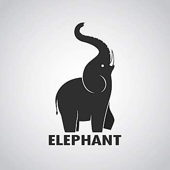 大象,设计,白色背景