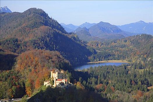 湖,旧天鹅堡,城堡,晨光,巴伐利亚,德国