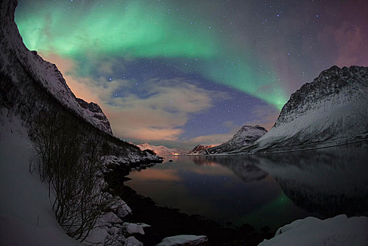 北极光,上方,冬天,特罗姆瑟,挪威,欧洲