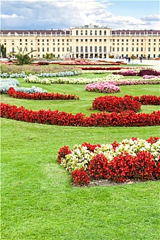 草坪,城堡,美泉宫,维也纳