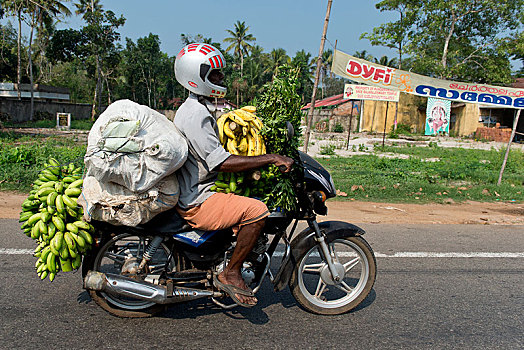 男人,骑,摩托车,满载,香蕉,喀拉拉,印度,亚洲
