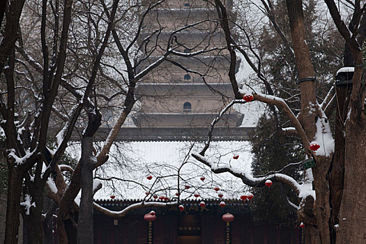 西安小雁塔雪景