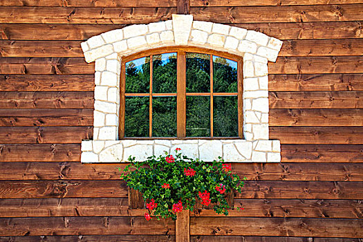 窗户,花,木墙