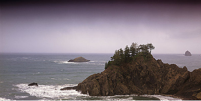 岩石,海岸线,树,俄勒冈,美国