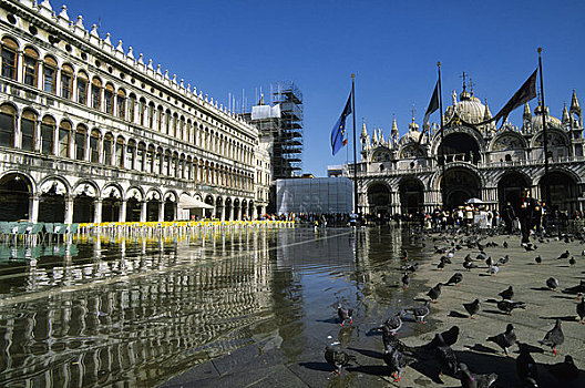 意大利,威尼斯,圣马可广场,洪水,鸽子