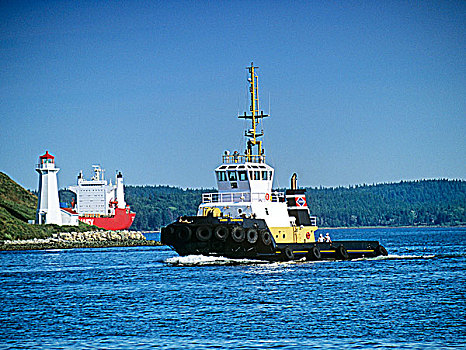 灯塔,拖船,船,哈利法克斯,港口,新斯科舍省,加拿大