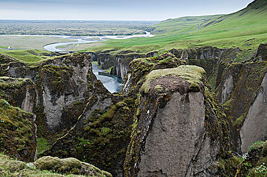 峡谷,靠近,南,海岸,凝灰岩,火山岩,苔藓,地点,后面,冰岛,欧洲