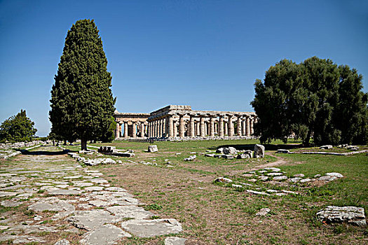 庙宇,遗址,帕埃斯图姆,坎帕尼亚区,意大利