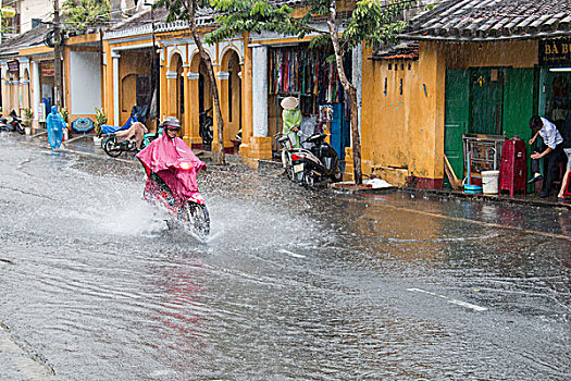 越南人,男人,重,雨