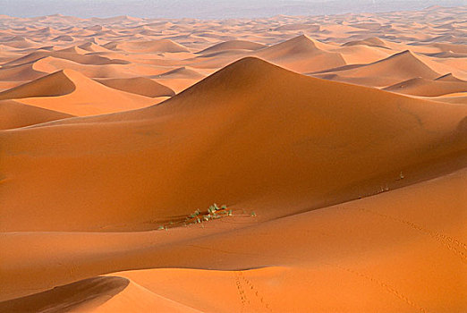 风景,却比沙丘,沙丘,摩洛哥