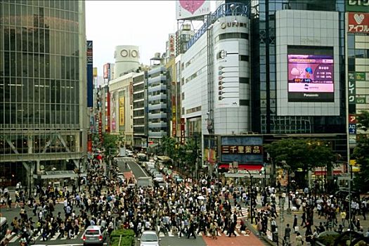 日本,东京,涩谷,一堆,人行横道